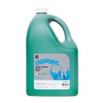 PAINT EC LIQUICRYL JUNIOR STUDENT ACRYLIC PAINT 5LT BRILLIANT GREEN LC5GR