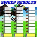 CUP SWEEP PACK BSG 300X300MM 1 SWEEP SHEET  1 RESULT SHEET