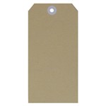ESSELTE SHIPPING TAGS NO5 60 X 120MM BUFF