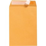 INITIATIVE C4 ENVELOPES POCKET PLAINFACE STRIP SEAL 80GSM 324 X 229MM GOLD BOX 250