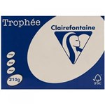 COLOURED PAPER TROPHEE CREAM A4 210GSM PKT250