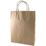 CAPRI KRAFT PAPER CARRY BAG BM TWIST HANDLE MEDIUM BROWN 480 X 340 X 90MM PACK 250