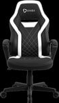 ONEX GX1 SERIES GAMING CHAIR BLACKWHITE