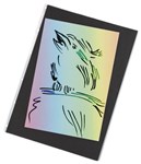 JASART A4 PRESENTATION SLEEVES