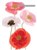 ADDRESS BOOK OZCORP SPIRAL POPPIES