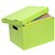 MARBIG ARCHIVE BOX COLOURED LIME