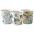 BIOPAK BIOCUP ART SERIES SINGLE WALL CUP 120ML4OZ 63MM PACK 50