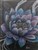 SUNBIRD ADDRESS BOOK LOTUS A6 98 X 125MM BKA243