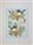 OZCORP WRITING PAD BLUE WREN 210 X 245MM 25 SHEETS